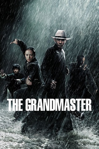 The Grandmaster (2013) {Hindi-English-Chinese} 480p 720p 1080p