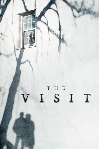 Download The Visit | 2015 | Hindi-English | BluRay Dual Audio | 480p 720p 1080p